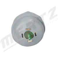 MERTZ M-S5316 Motorsteunlager