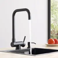 CECIPA MAX Keukenkraan met Opvouwbare Tuit - Ideaal voor Keukenraam - 304 RVS - 90° Klapbaar + 360° Draaibaar - Zwart