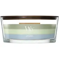 Woodwick Trilogy Verdant Woods Ellipse Geurkaars