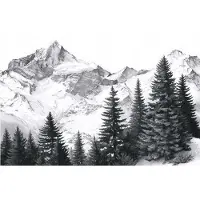 WALLARENA - Behang 150x105 cm + Fotobehang - Vliesbehang - Bergen motif - Naar de slaapkamer, woonkamer - Op de Flizelin - Zwart-wit