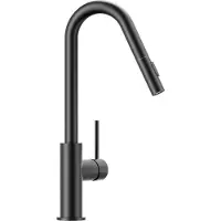 CECIPA MAX Uittrekbare Keukenkraan - RVS - met Uitrekbare Uitloop - 2 Straalstanden - 40 cm Uittrekbereik - Zwart