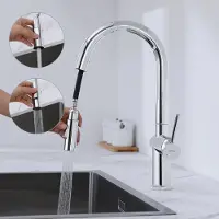 Auralum Max Keukenkraan met Uittrekbare Uitloop - Keuken Kraan RVS - 360° Draaibare - 2 straalsoorten - 360° Draaibaar - Zilver