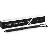 RIDEX 219G1186 Gasveer achterklep