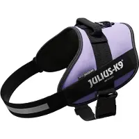 Julius-K9 IDC Powerharnas, paars, maat: 3 / XL