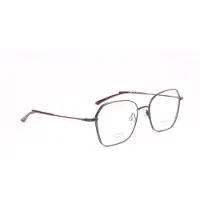 Ana Hickmann Optical Frame HI1246T 07A 54 Titanium