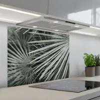 KitchenYeah Spatscherm 80x60 cm - Zelfklevende achterwand Bladeren - Groen - Palm - Keuken muurbeschermer - Spatwand fornuis
