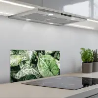KitchenYeah Spatscherm 60x30 cm - Zelfklevende achterwand Bladeren - Planten - Natuur - Keuken muurbeschermer - Spatwand fornuis