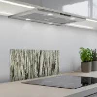 KitchenYeah Spatscherm 60x30 cm - Zelfklevende achterwand Cactus - Natuur - Vetplanten - Keuken muurbeschermer - Spatwand fornuis