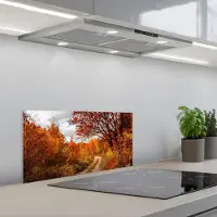 KitchenYeah Spatscherm 70x30 cm - Zelfklevende achterwand Boom - Pad - Herfst - Keuken muurbeschermer - Spatwand fornuis