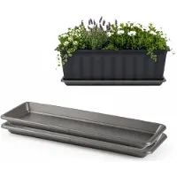 PlasticForte Plantenbak water onder opvangschaal - 2x - antraciet - rechthoek - 48 x 18 cm - Bloembakken