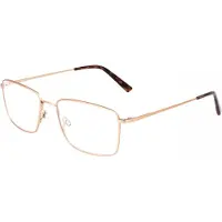 FLEXSON Flexon FLEXON H6081 Matte taupe 58/18/150 MAN Brilmonturen