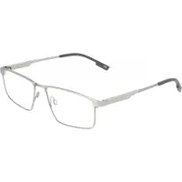FLEXSON Flexon FLEXON E1164 Satin silver 54/15/145 MAN Brilmonturen
