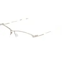 FLEXSON Flexon FLEXON E1158 Satin silver 57/17/150 MAN Brilmonturen