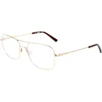 FLEXSON Flexon FLEXON H6060 N Shiny gold 56/19/145 MAN Brilmonturen