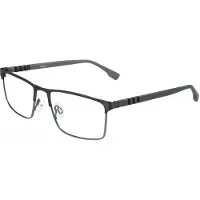 FLEXSON Flexon FLEXON E1137 (033) gunmetal 55/18/140 MAN Brilmonturen