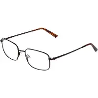 FLEXSON Flexon FLEXON BENJAMIN 600 (210) brown 54/18/140 MAN Brilmonturen