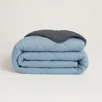 Y-NOT - Dekbed Zonder Overtrek 200x220 - All Season - Zacht & Wasbaar - Light Blue/Dark Grey
