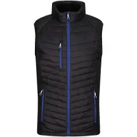 Regatta Heren Navigate Gewatteerd Hybride Gilet (Zwart/Nieuw Royal)