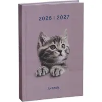 Brepols agenda 2026-2027 - AMICI - Schoolagenda - 1 dag per pagina - Stevige omslag - Dagoverzicht - Poes - 11.5 x 16.9 cm