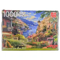 Jumbo Puzzel Houses in the Hill 1000 stukjes