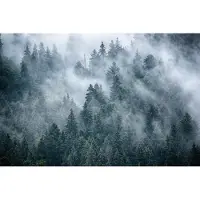 Karo-art 416cm X 290cm - Fotobehang - Mistig bos, premium print, inclusief behanglijm