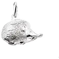 Trendjuwelier huiscollectie Bedel Egel Zilver