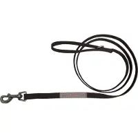 Animal Boulevard Canvas Hondenlijn / Hondenriem - Donkerbruin - Breedte 25 mm - Lengte 180 cm