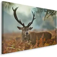Karo-art Schilderij - Wonderbaarlijk hert, 4 maten, multi-gekleurd, wanddecoratie