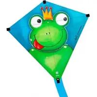Elliot Eddy 75 Kids Kite - Frog