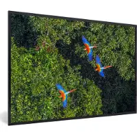 PosterMonkey Fotolijst incl. Poster - Jungle - Boom - Papegaai - Jongetjes - Meiden - Kids - 90x60 cm - Posterlijst