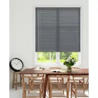Decosol Horizontale jaloezie aluminium 25mm zilver 100 x 250cm online kopen