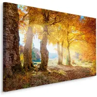 Karo-art Schilderij - Herfstbos, bruin/geel, 4 maten, premium print