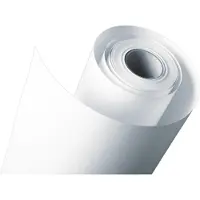Fujifilm Dl Fotopapier 152 X65 M