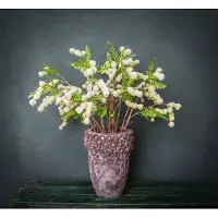 Ptmd Berry plant green jumbo bean spray