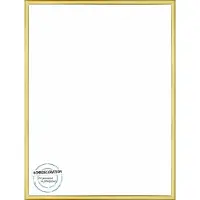 Homedecoration Almelo – Fotolijst – Fotomaat – 60 x 95 cm – Goud Glans