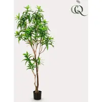 Green Boutiq Kunstplant - Dracaena - Drakenboom - 190 cm