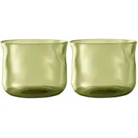 Paveau Swirl Moss - Ribbed Waterglazen - 2 Stuks - Duurzaam Borosilicaatglas
