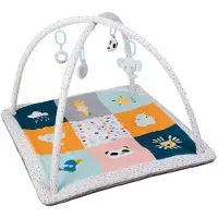 Eurekakids Babygym En Speelkleed Met 3 Poppen Inbegrepen