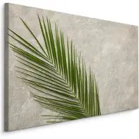Karo-art Schilderij - Palm Blad op een betonnen achtergrond, 5 maten