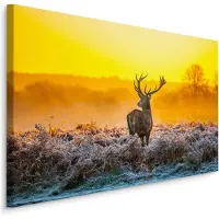 Karo-art Schilderij - Hert in dauw, multi-gekleurd, 4 maten, premium print