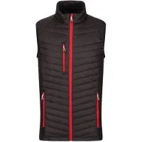 Regatta Heren Navigate Gewatteerd Hybride Gilet (Zwart/Klassiek Rood)