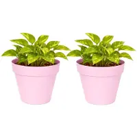 Mega Collections Plantenpot / bloempot - 2x - kunststof - lichtroze - binnen/buiten - D20 x H17 cm