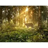 Karo-art Fotobehang Herten In Het Bos In De Ochtend - Vliesbehang - 450 x 300 cm