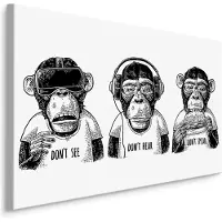 Karo-art Schilderij - 3 Apen, Horen Zien en Zwijgen, Zwart/wit, Premium Print
