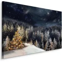 Karo-art Schilderij - Bos in de Winter bij nacht, Premium Print