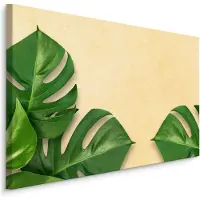 Karo-art Schilderij - Monstera Bladeren, Groen, op een beige achtergrond, 5 maten