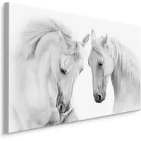 Karo-art Schilderij - Twee prachtige schimmels in love, premium print