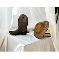 Cartonic - 2IN1 Western- 3D puzzel- Speelgoed - DIY- Creatief - Karton - Voor kinderen en volwassenen
