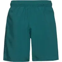 Under Armour Tech Woven Wordmark Shorts Groen XL / Regular Man
