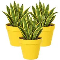Mega Collections Plantenpot / bloempot - 3x - kunststof - geel - binnen/buiten - D29 x H28 cm